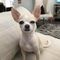 Profile Picture of Wayne Walter (@wayne.walter.31177) on Facebook