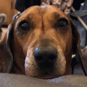 Profile Picture of Lisa Harman (@1972lisa) on Youtube