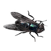 Profile Picture of NutKracker215 (@Kracker215) on Youtube