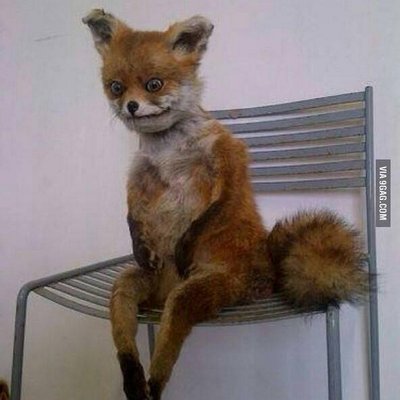 Profile Picture of Adrian Arthur (@adrianeugenio39) on Twitter