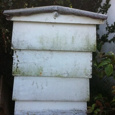 Profile Picture of Jacki & Craig Hughes (@crossmoorhoney) on Twitter