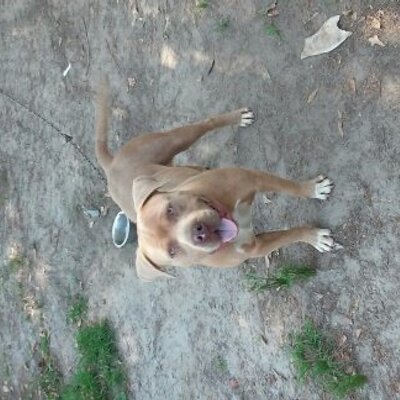 Profile Picture of Jeffrey Mathis (@stay_dwn549) on Twitter