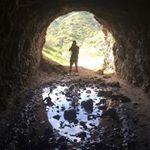 Profile Picture of Brian Cellier (@badchurrodipper) on Instagram