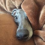 Profile Picture of William Smart (@will_smart16) on Instagram