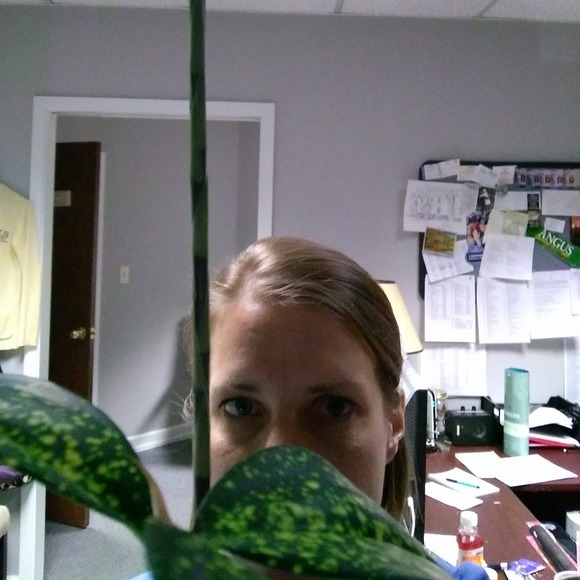 Profile Picture of Kimberly Howells (@kghess11) on Poshmark