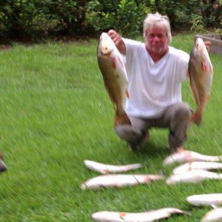 Profile Picture of Neal Laperouse (@neal.laperouse) on Facebook