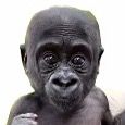 Profile Picture of chase (@imthatnig101) on Tiktok