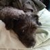 Profile Picture of Ronald Appelle (@Ronald-Appelle) on Facebook