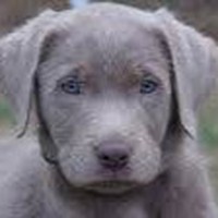 Profile Picture of Philip Stringfellow (@philip-stringfellow-3) on Quora