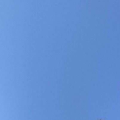 Profile Picture of Arie (@@arie.lee) on Tiktok