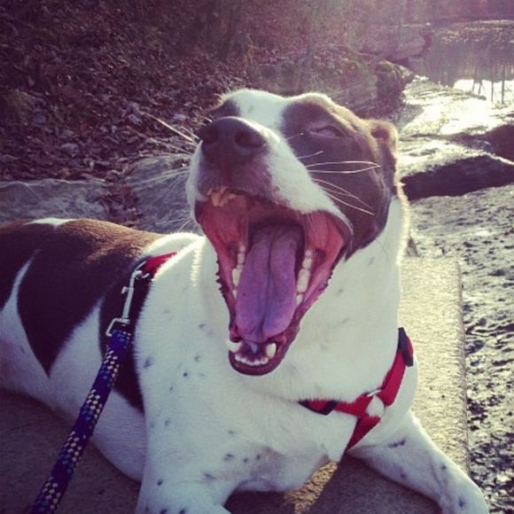 Profile Picture of Blake Harris (@tbh12388) on Poshmark