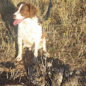 Profile Picture of Brad Crowley (@307outdoors8) on Youtube