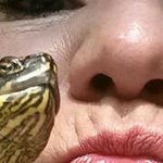 Profile Picture of Kathy Malsom-Gustafson (@kthy_gustafson) on Instagram