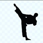 Profile Picture of luis capilla (@l.capilla_tkd16) on Instagram