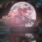 Profile Picture of Dark side of the moon🔅 文站 (@moo06_19) on Instagram