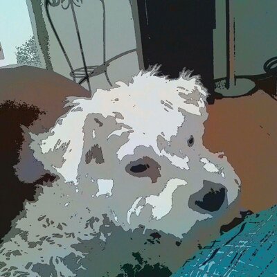 Profile Picture of Deb Weir (@deblweir) on Twitter