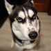 Profile Picture of Michael Shonebarger (@michael.shonebarger.7) on Facebook