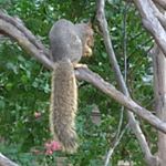 Profile Picture of Justin Brett Vander (@brettvander) on Instagram