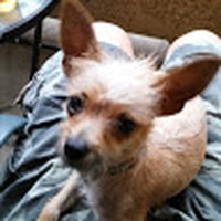 Profile Picture of Richard Keefer (@richard-keefer-11) on Quora
