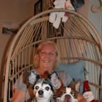 Janet Winter Reichelderfer - Facebook Profile Picture of Janet Winter Reichelderfer (@janet.winterreichelderfer) on Facebook