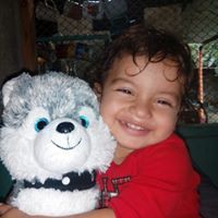 Profile Picture of Kevin Adriano (@kevin-adriano-4) on Quora