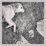 Profile Picture of Glenn Bailey (@namedilite) on Instagram