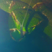 Profile Picture of Hanz Kyle Velez (@hanzkylevelez409) on Youtube