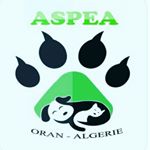 Profile Picture of ASPEA-ORAN-ALGERIE (@aspea.oran.algerie) on Instagram
