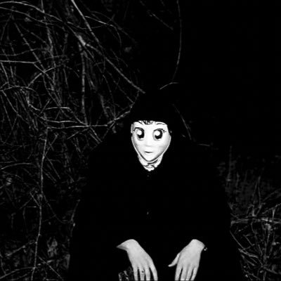 Profile Picture of  🌹Matthew Povich (@oldpovichmt) on Twitter