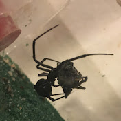 Laura Gates - Youtube Profile Picture of Laura Gates (@lauragates1707) on Youtube