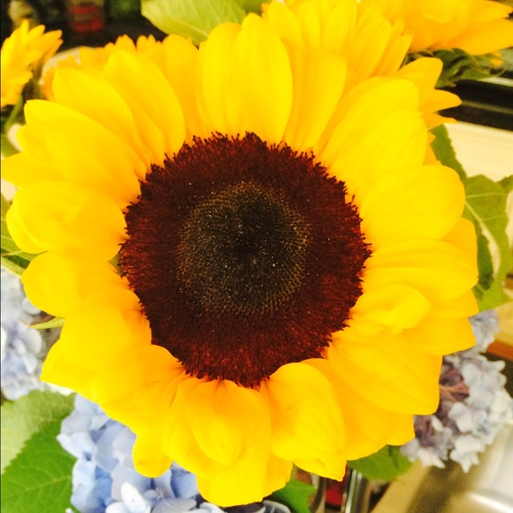 Kye Shaby - Poshmark Profile Picture of Kye Shaby (@kyeshaby) on Poshmark