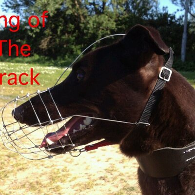 Profile Picture of Jim Mellis (@jimmymellis123) on Twitter