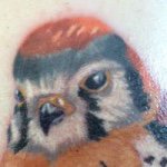 Bob Ernst - Instagram Profile Picture of Bob Ernst (@rernst58) on Instagram