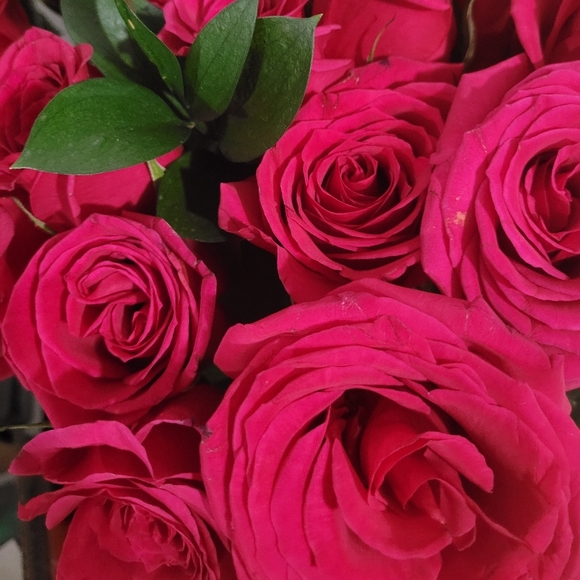 Profile Picture of Lea Diamond (@leadiamond02) on Poshmark