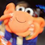 Profile Picture of kira_wang (@kira_wang98) on Instagram