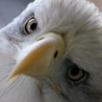 Profile Picture of Jean Claude  Jimenez (@JamesClaude3x) on Twitter
