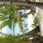 Profile Picture of Hesler (@kaycee470chris) on Instagram