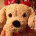 Profile Picture of Julia Dorantes (@julia.dorantes.1293) on Facebook
