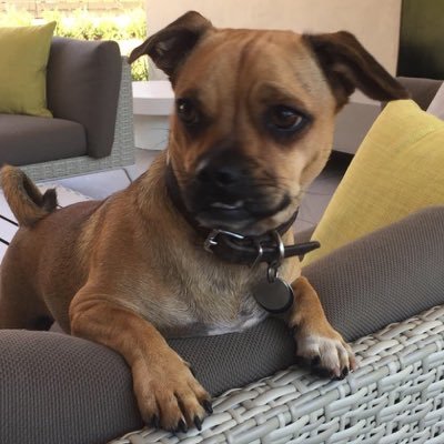 Evan Melcher - Twitter Profile Picture of Evan Melcher (@melchev331) on Twitter