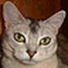 Profile Picture of Lolita Afanasjeva (@Bjanet) on Flickr