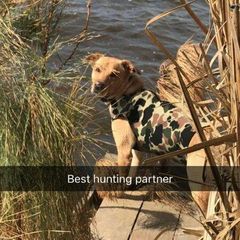 Profile Picture of Bryan Overton (@bryanoverton2) on Tiktok