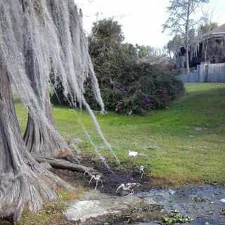 Profile Picture of Jimmy Robicheaux (@Jimmy-Robicheaux) on Facebook