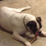 Profile Picture of Damien Phillips (@damienphillips11) on Instagram