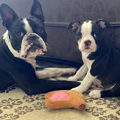 Bradley Dooley - Youtube Profile Picture of Bradley Dooley (@bradleydooley6408) on Youtube