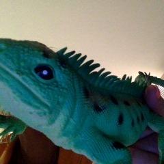 Profile Picture of Joseph Rothong (@JRbbcoach) on Twitter