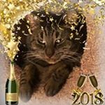 Profile Picture of Robin Metrano (@robinmetrano) on Instagram