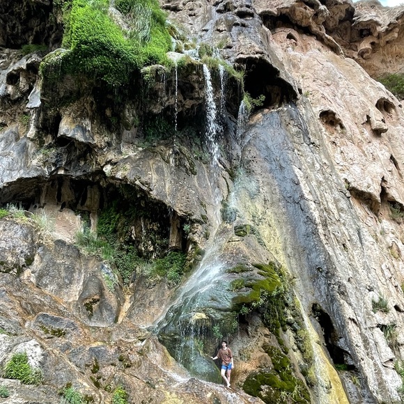 Profile Picture of Reese Allen (@reeseallen923) on Poshmark