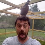 Profile Picture of Danny Dawkins (@danny.dawkins.98) on Facebook