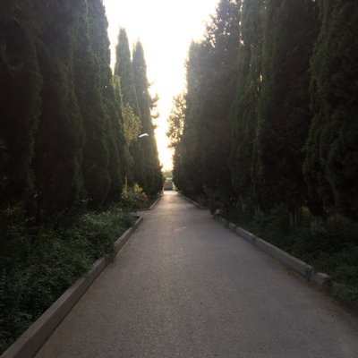 Profile Picture of Fadhel Saeed (@fadhelsaeed) on Twitter