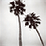 Profile Picture of Massimiliano Leanza (@massimiliano leanza1) on Flickr